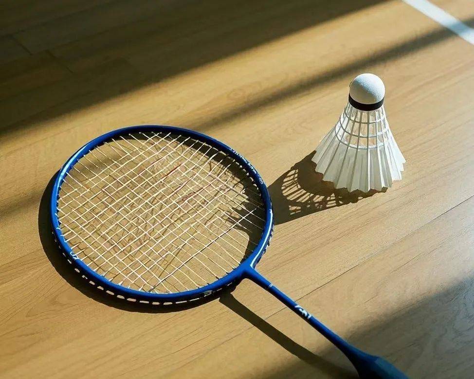 兰国家队的 兰国家队的