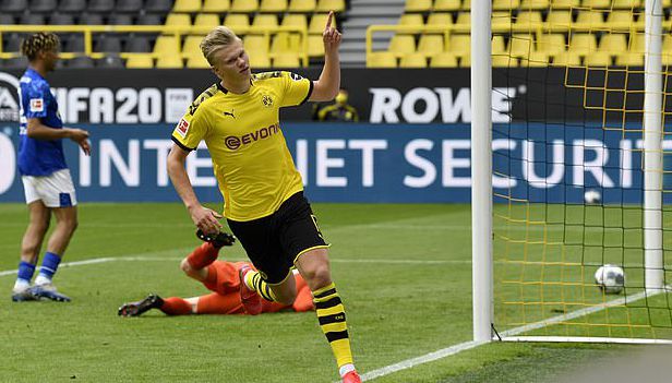 将有助于培 将有助于培